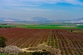 Jezreel valley countryside, and Mount Tabor