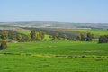 Jezreel Valley in Israel