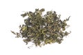 Jiaogulan, Miracle grass, Chinese herb tea Royalty Free Stock Photo