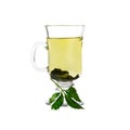 Jiaogulan Miracle grass Chinese herb tea. Image included clipping path Royalty Free Stock Photo