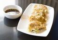 Jiaozi or gyoza, Chinese dumpling