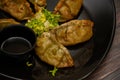 Tasty vegetarian gyoza dumplings on a black plate