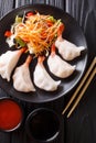 jiaozi, gyoza dumplings stuffed with shrimps with fresh vegetable salad close-up on a plate and soy and tomato sauces. Vertical t