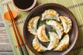 Jiaozi Gyoza vegetables dumplings with soy sauce closeup on the plate. Horizontal top view