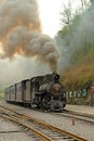 Jiayang China-A a narrow gauge train ready to go