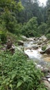 Jibhi valley himachal pradesh india Royalty Free Stock Photo