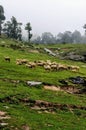Jibhi valley himachal pradesh india Royalty Free Stock Photo