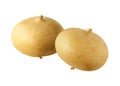 Jicama Roots Royalty Free Stock Photo