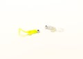 Jig heads with glitter curly tail swim bait lure for crappie fishing isolated on white background Royalty Free Stock Photo
