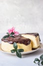 Jiggly and fluffy Japanese cotton souffle cheesecake decorated with chocolate glaze on ceramic plate.