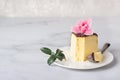 Jiggly and fluffy Japanese cotton souffle cheesecake decorated with chocolate glaze on ceramic plate.