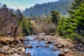 Jigme Singye Wangchuck National Park