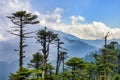 Jigme Singye Wangchuck National Park