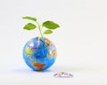 Jigsaw Earth plant Royalty Free Stock Photo