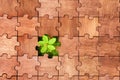 Jigsaw puzzle with fresh grass and small plant Royalty Free Stock Photo