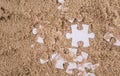 Jigsaw Puzzle Pieces Buried In Sand III