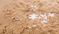 Jigsaw Puzzle Pieces Buried In Sand XI