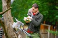 Jihlava, Czech Republic - 10.7.2022: Keeper is feeding the Lemur Catta with fruit. Lemur is sitting on the young man arms