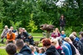 Jihlava, Czech Republic - 10.7.2022: People are watching the eagle latin name Haliaeetus albicilla in the fly