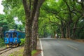 Jiji green tunnel and train in nantou, taiwan