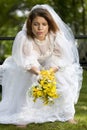 Jilted Bride Royalty Free Stock Photo