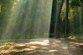 Jim corbett national park Royalty Free Stock Photo