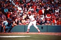Jim Rice Boston Red Sox Royalty Free Stock Photo
