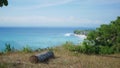 A log in the hill with blurry ocean view Royalty Free Stock Photo