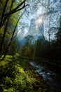 Sunshine at Jinbian stream in Zhangjiajie Wulingyuan Royalty Free Stock Photo