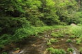 Jinbian stream in Zhangjiajie Wulingyuan Royalty Free Stock Photo