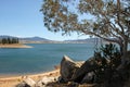 Lake Jindabyne, Australia with a tree and rocks Royalty Free Stock Photo