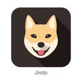 Jindo dog character, dog breed cartoon image series