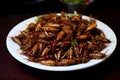 Jing Leed - Thailand - Deep-fried grasshoppers or crickets, seasoned for a crispy snack Royalty Free Stock Photo