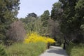 Beautiful Jingshan Park Beijing in spring