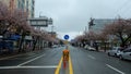 Jinhae street, one of the streets in South Korea with cherry blossoms Royalty Free Stock Photo