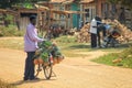 A rustic mobile market - a vendor sells fresh and ripe yellow pineapples straight from the bike