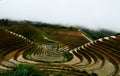 Jinkeng terraced rice fields in Longshan,Guilin Royalty Free Stock Photo