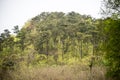 Jinniu mountain scenery Royalty Free Stock Photo