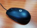 Computer Mouse