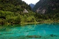 Jiu Zhai Gou, China: Panda Lake Royalty Free Stock Photo