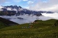 Jiudingshan Mountain meadow Royalty Free Stock Photo