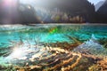 The Jiuzhaigou clear lake Royalty Free Stock Photo