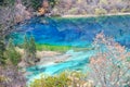 Jiuzhaigou Colorful lake