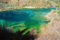 Jiuzhaigou colorful lake Royalty Free Stock Photo