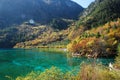 Jiuzhaigou colorful lake Royalty Free Stock Photo