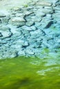 Jiuzhaigou colorful lake details sichuan province Royalty Free Stock Photo