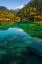 Jiuzhaigou and Five Flower Lake , Unesco national park during autumn in Ngawa Tibetan and Qiang in Sichuan , China : 17 October Royalty Free Stock Photo