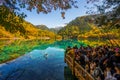 Jiuzhaigou and Five Flower Lake , Unesco national park during autumn in Ngawa Tibetan and Qiang in Sichuan , China : 17 October Royalty Free Stock Photo