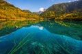 Jiuzhaigou and Five Flower Lake , Unesco national park during autumn in Ngawa Tibetan and Qiang in Sichuan , China : 17 October Royalty Free Stock Photo