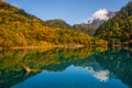 Jiuzhaigou and Five Flower Lake , Unesco national park during autumn in Ngawa Tibetan and Qiang in Sichuan , China : 17 October Royalty Free Stock Photo